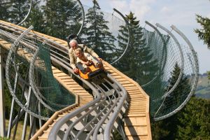 AlpseeCoaster1