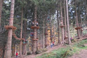 Kletterwald 2